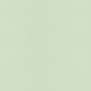 Meet your Posher, Mackenzie